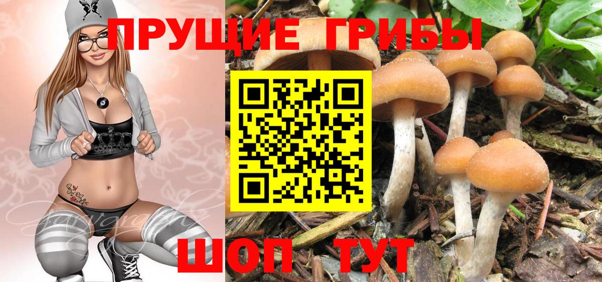 Лесосибирск  Галлюциногенные грибы MAGIC MUSHROOMS  Вход с VPN  Псилоцибиновые грибы мицелий 